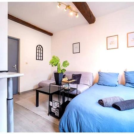 La Belle Niche Apartment Lille Luaran gambar