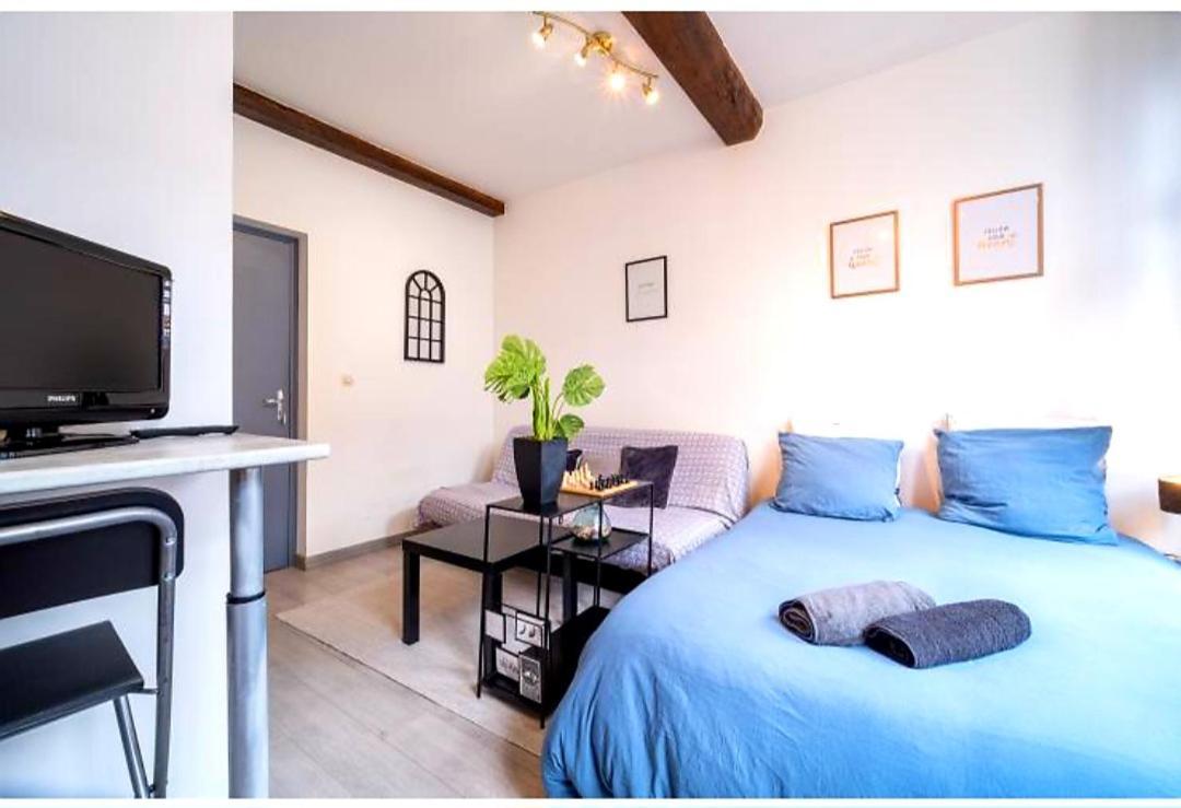 La Belle Niche Apartment Lille Luaran gambar
